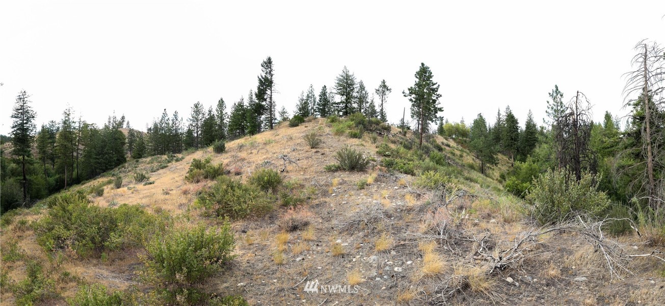0 Golden Rule Road Malott, WA 98829 - Photo 12 of 14 Gallery Image 12