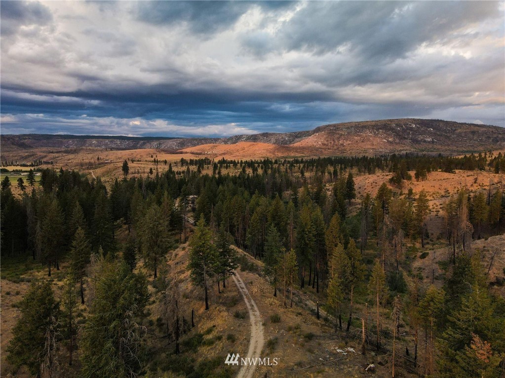 0 Golden Rule Road Malott, WA 98829 - Photo 4 of 14 Gallery Image 4