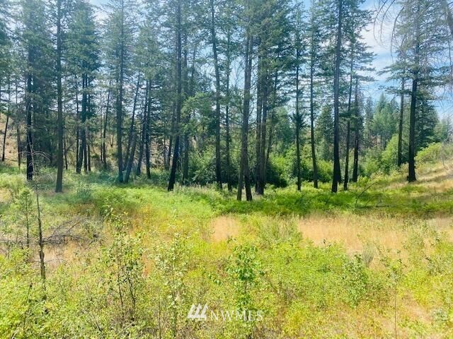 0 Golden Rule Road Malott, WA 98829 - Photo 8 of 14 Gallery Image 8