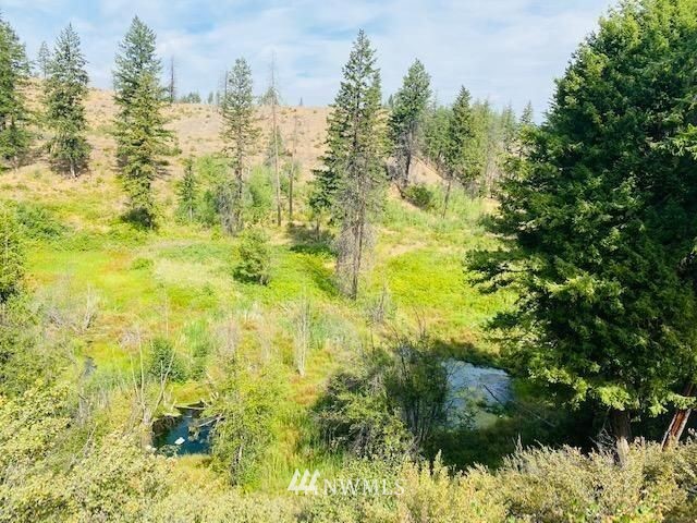 0 Golden Rule Road Malott, WA 98829 - Photo 10 of 14 Gallery Image 10