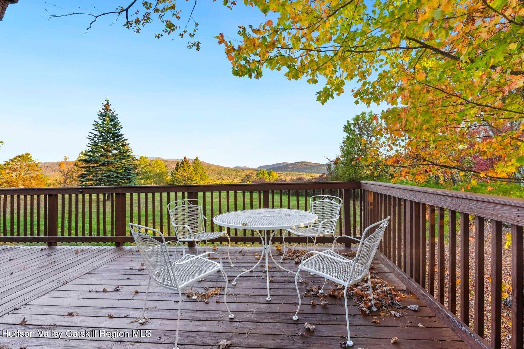 61 Cambridge Heights Road Windham, NY 12496 - Photo 59 of 72 photo_online_067