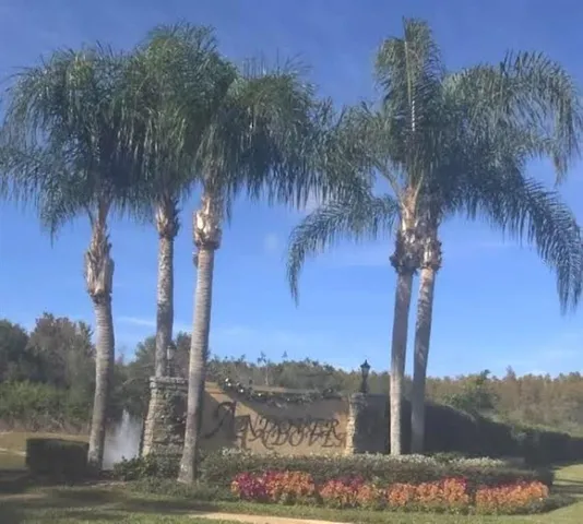 a view of a ocean with a palm tree