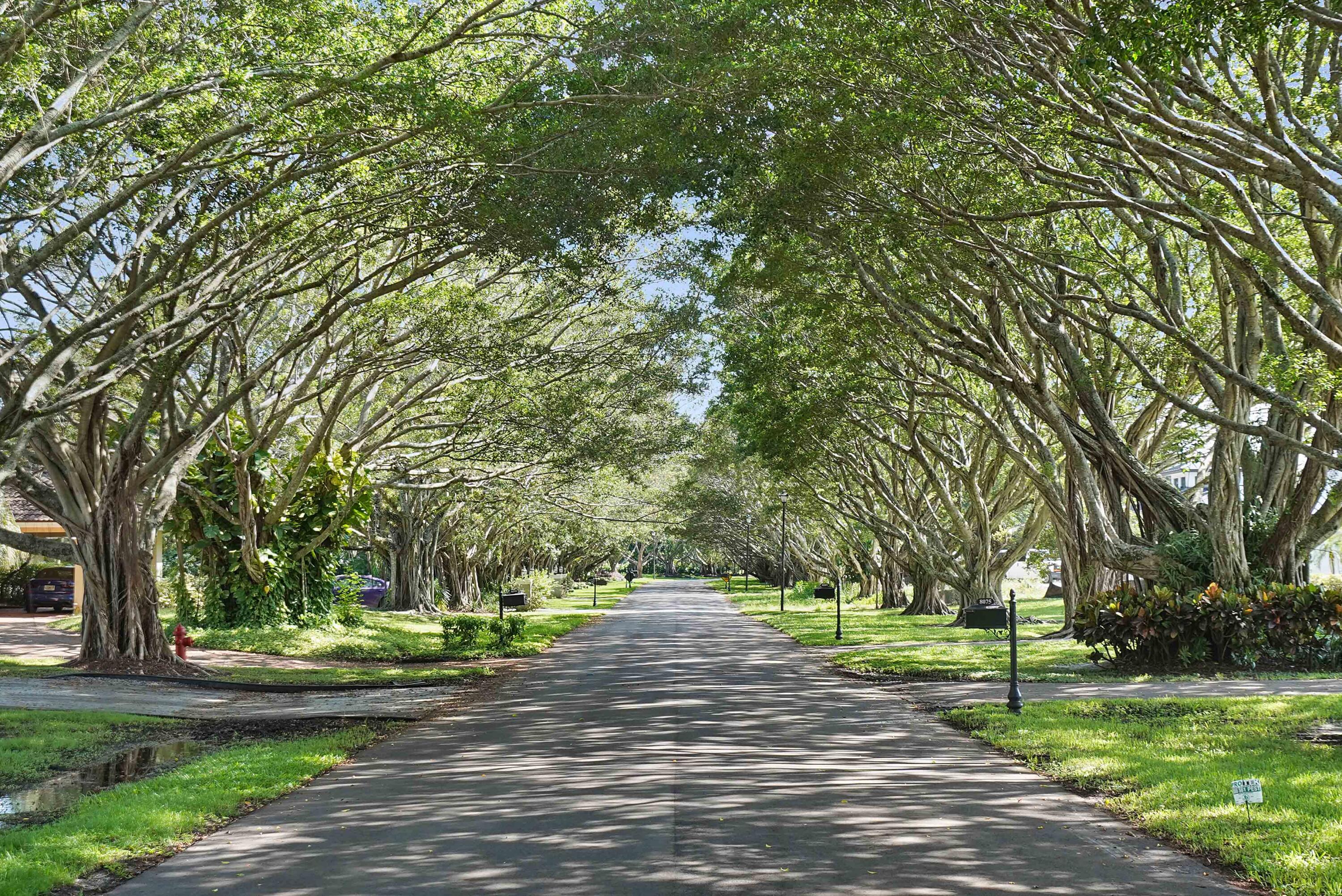 18161 Daybreak Drive Boca Raton, FL 33496 - Photo 62 of 79 18161 Daybreak Drive Boca Raton FL 33496