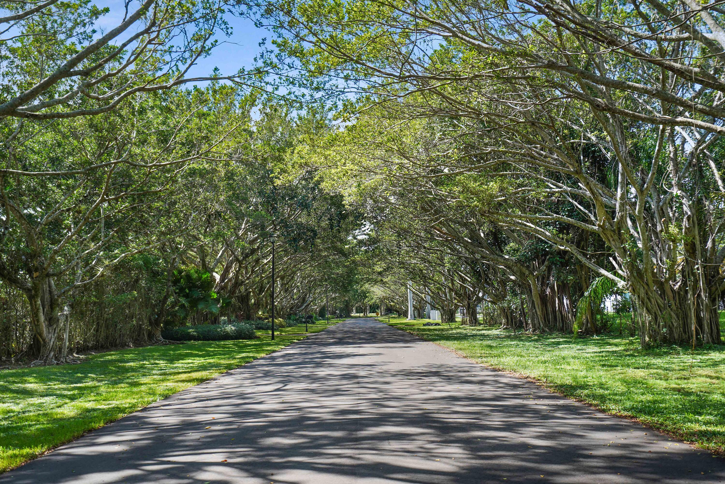 18161 Daybreak Drive Boca Raton, FL 33496 - Photo 9 of 79 18161 Daybreak Drive Boca Raton FL 33496