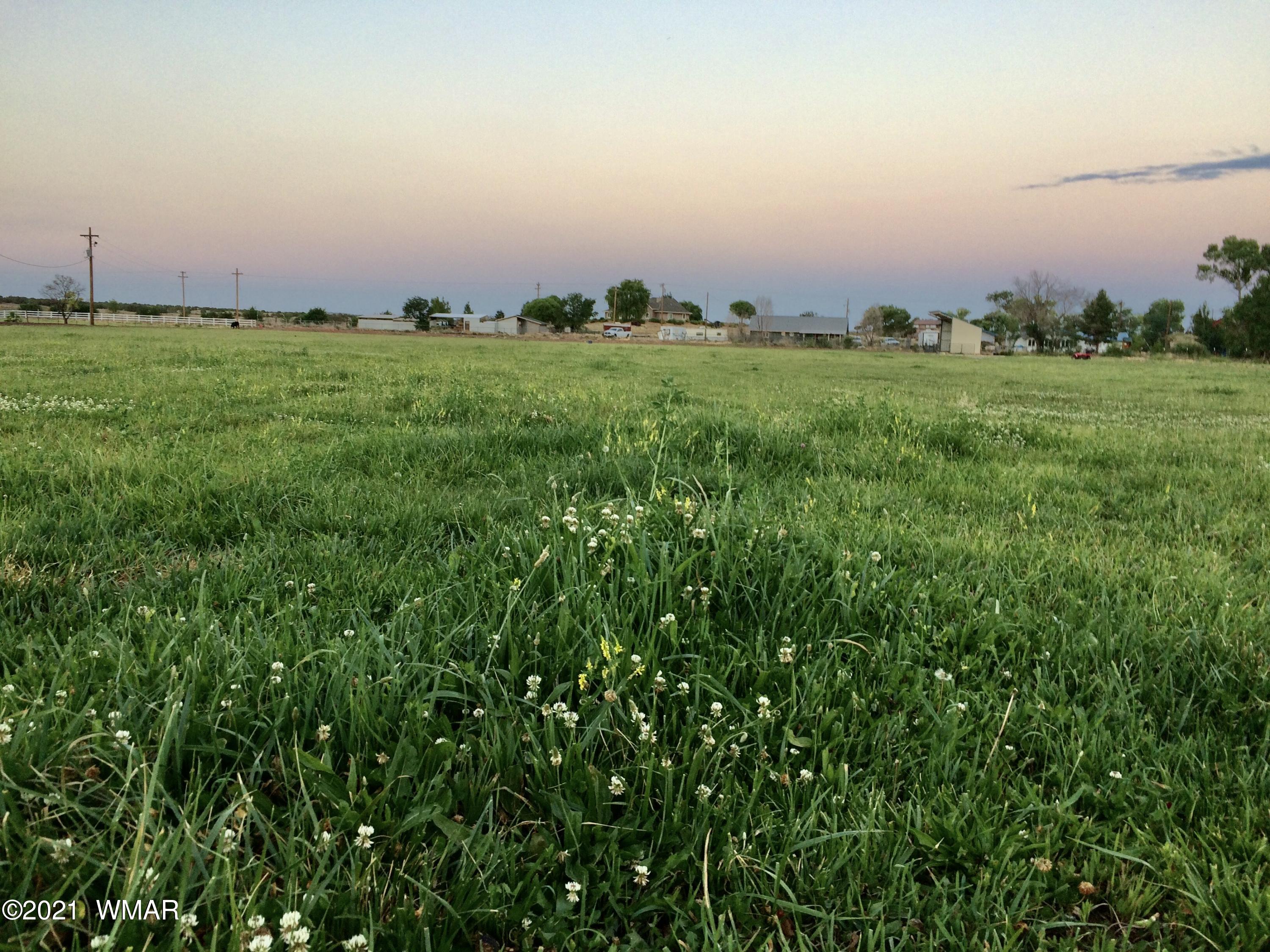 Tbd Tbd Borden Rnach Road Taylor, AZ 85939 - Photo 1 of 3
