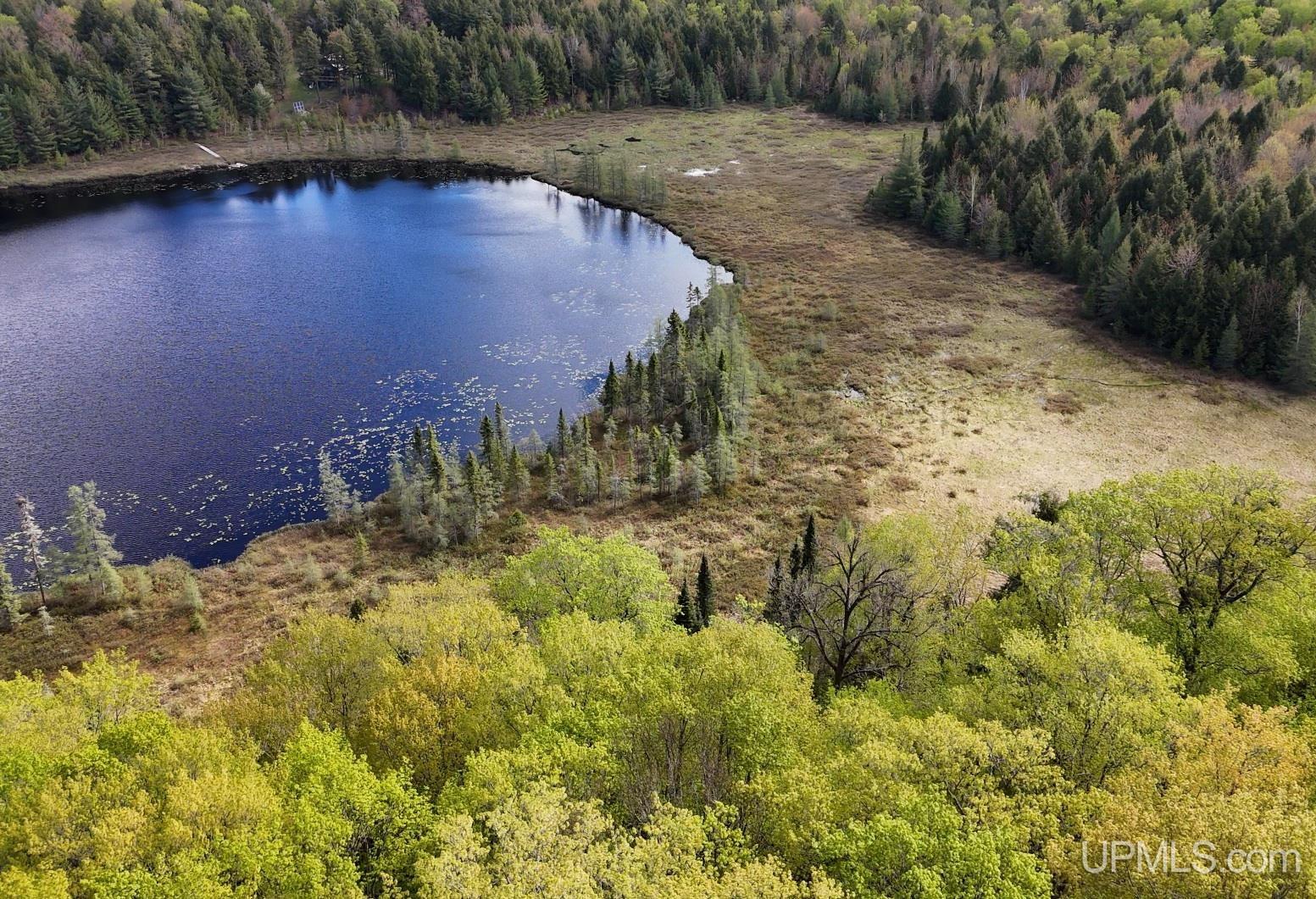 Tbd10 Baraga Plains Road Lanse, MI 49946 - Photo 8 of 19