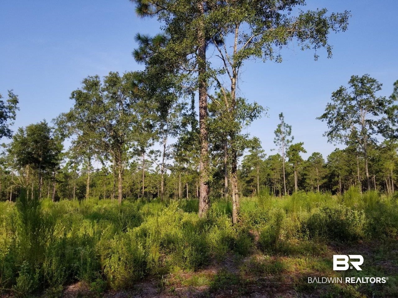 0 Jerkins Loop Atmore, AL 36502 - Photo 30 of 50