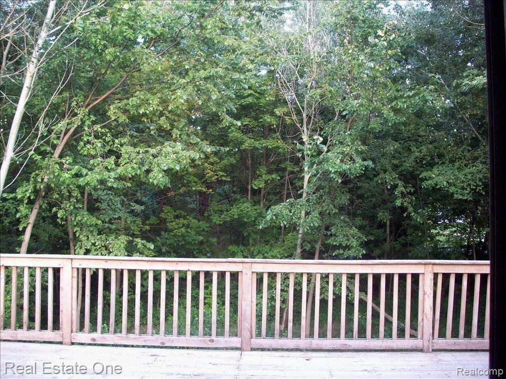 962 River Mist Drive Rochester, MI 48307 - Photo 5 of 18 Wooded Lot