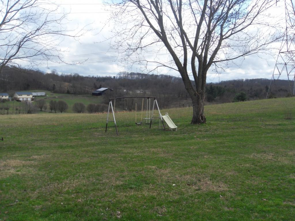 164 Fordtown Road Fall Branch, TN 37656 - Photo 31 of 31 View front