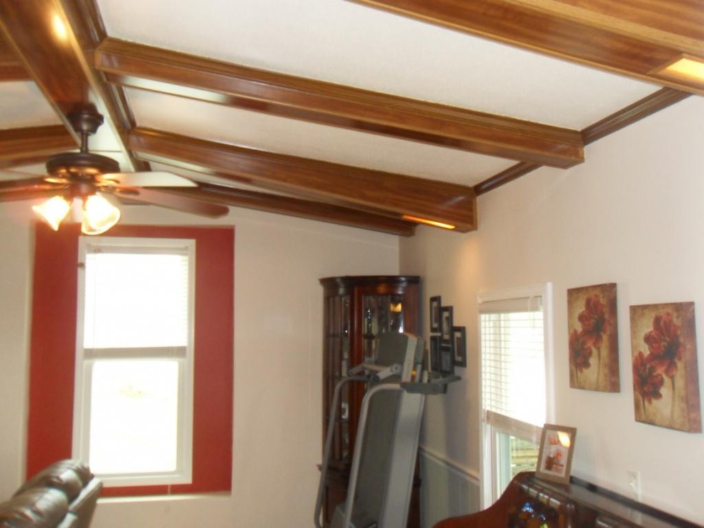 164 Fordtown Road Fall Branch, TN 37656 - Photo 7 of 31 Living area vaulted ceiling
