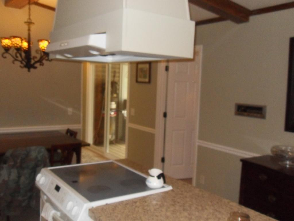 164 Fordtown Road Fall Branch, TN 37656 - Photo 10 of 31 Range with hood