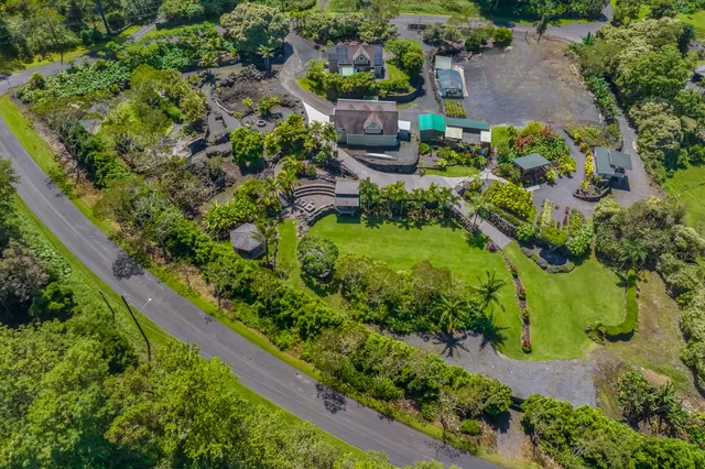 an aerial view of a garden with plants