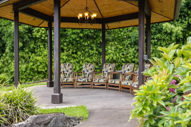 a view of a patio with table and chairs potted plants with palm trees