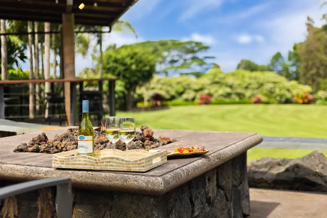 a view of a patio with table and chairs and potted plants