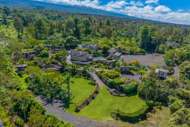 a view of a garden with a tree