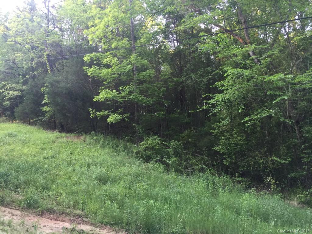 4049 Tater Ridge Road Concord, NC 28025 - Photo 6 of 8 a plant view in yard