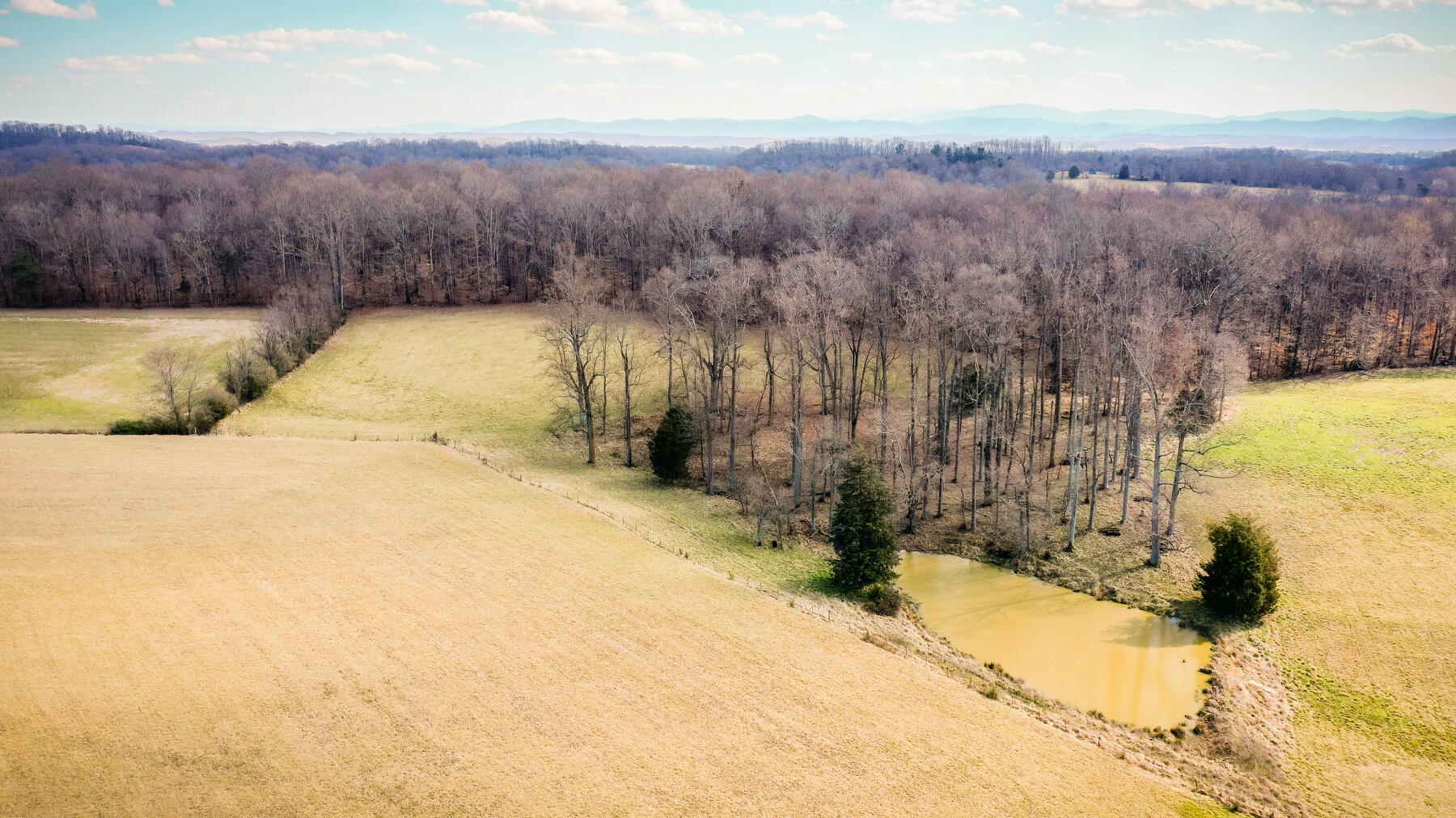 Tbd Milburnton Road Limestone, TN 37681 - Photo 11 of 16 110