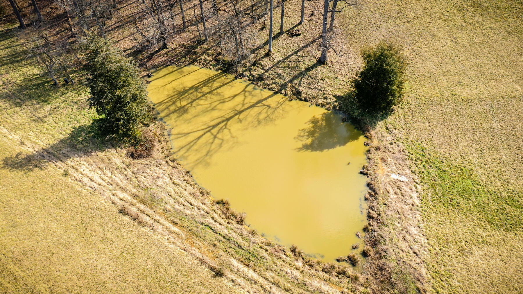 Tbd Milburnton Road Limestone, TN 37681 - Photo 12 of 16 112