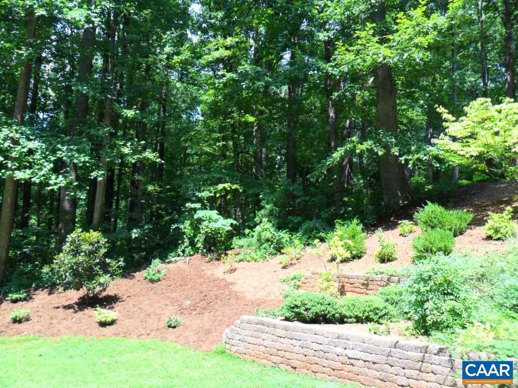 435 David Road Charlottesville, VA 22902 - Photo 36 of 38 Gallery Image 36