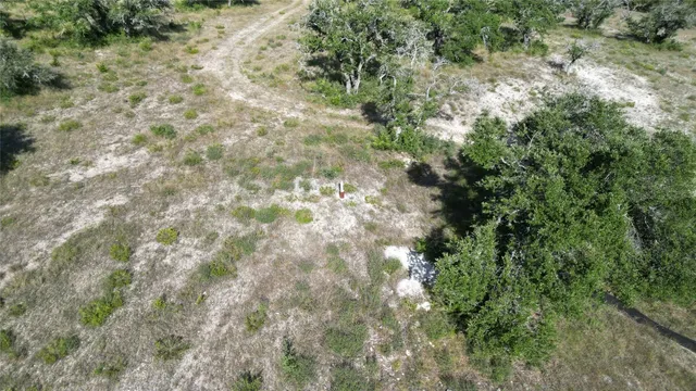 a view of a yard with a tree