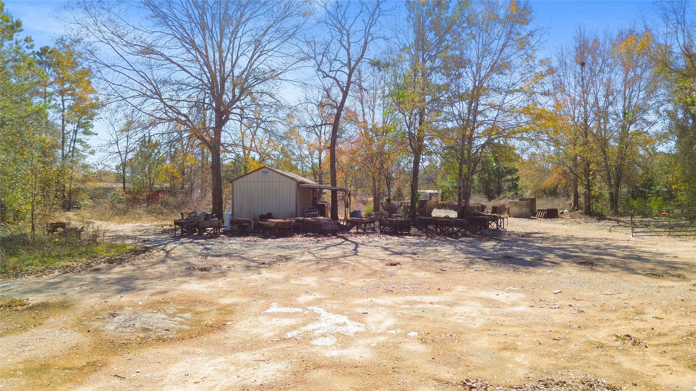 14187 Tommy Smith Road Conroe, TX 77306 - Photo 5 of 8 a view of yard with trees