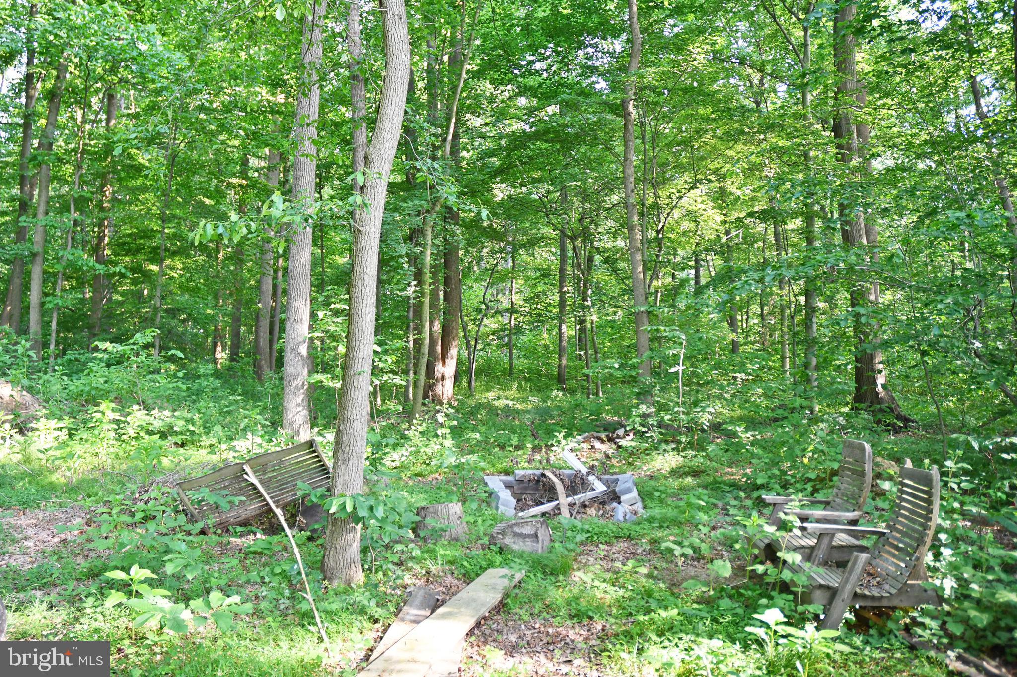 Beautiful wooded parcel