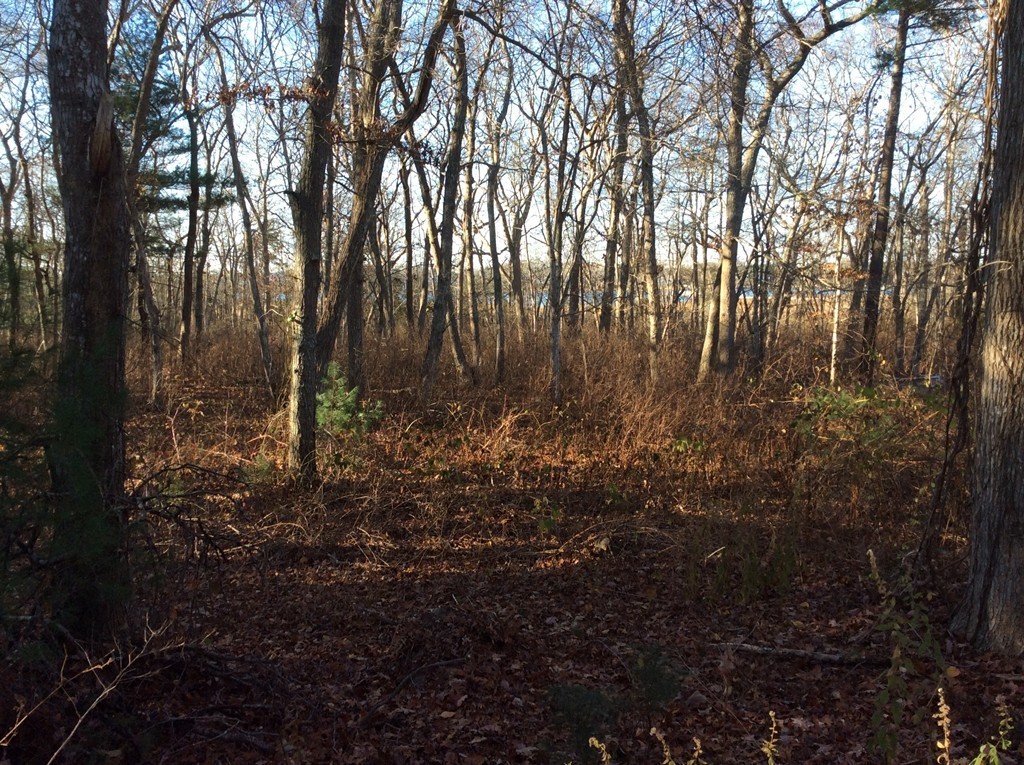374 Point Road Marion, MA 02738 - Photo 4 of 4