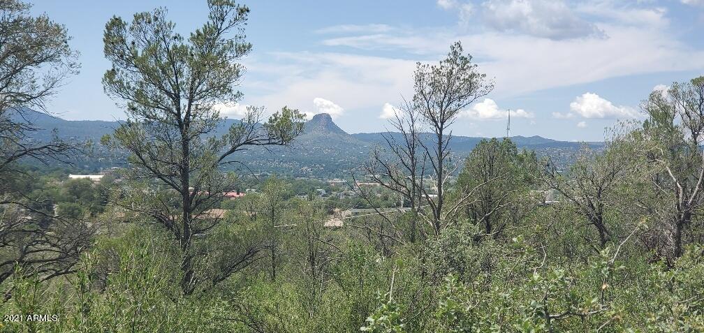 1413 Butterfield Road, Unit 17 Prescott, AZ 86303 - Photo 5 of 10 Looking North