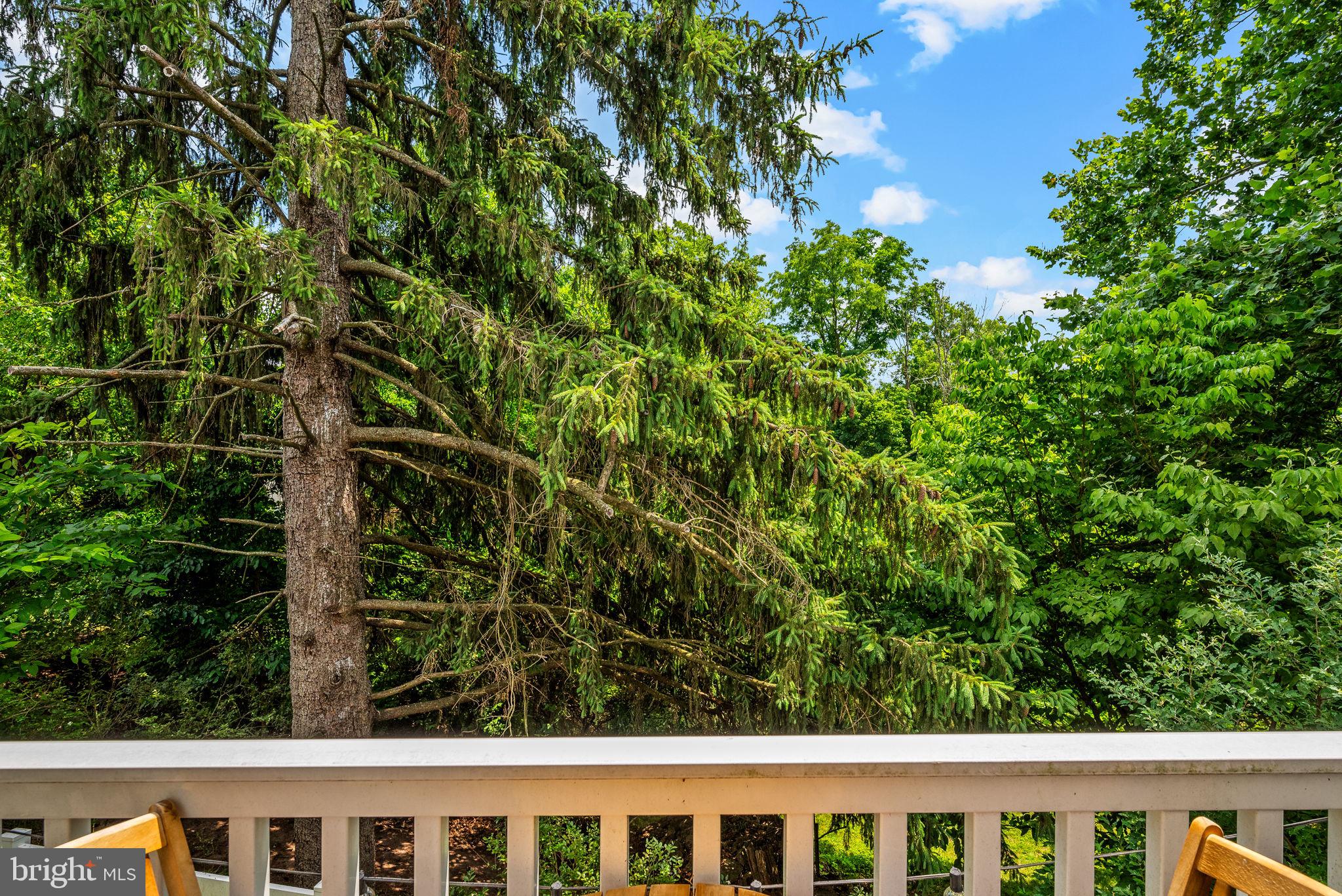 804 Sisler Road Phoenixville, PA 19460 - Photo 18 of 36 Mature tree line buffer from deck area