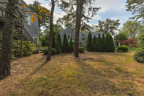 a view of backyard with tree