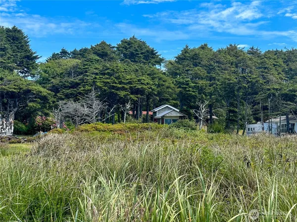 a view of outdoor space and yard