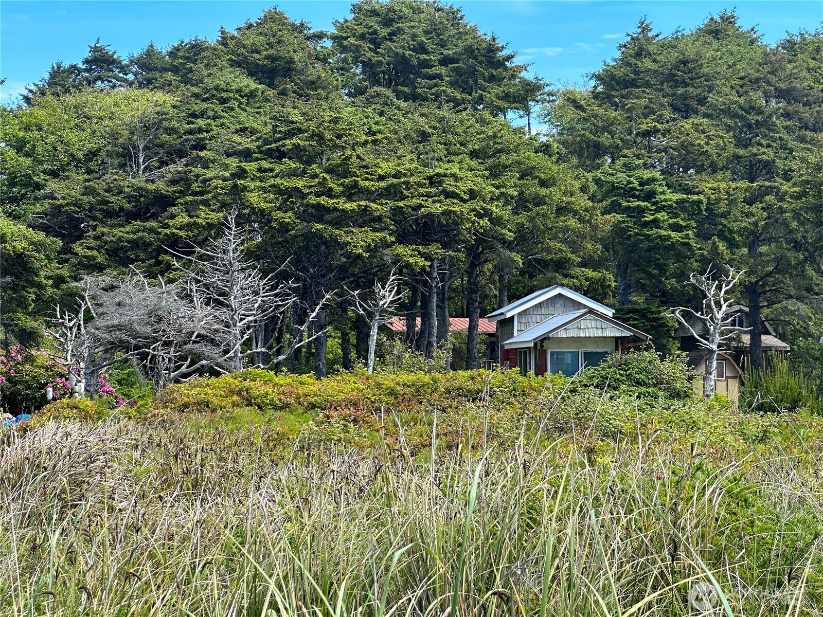 4753 Beach Lane Moclips, WA 98562 - Photo 18 of 25 a view of a house with a yard