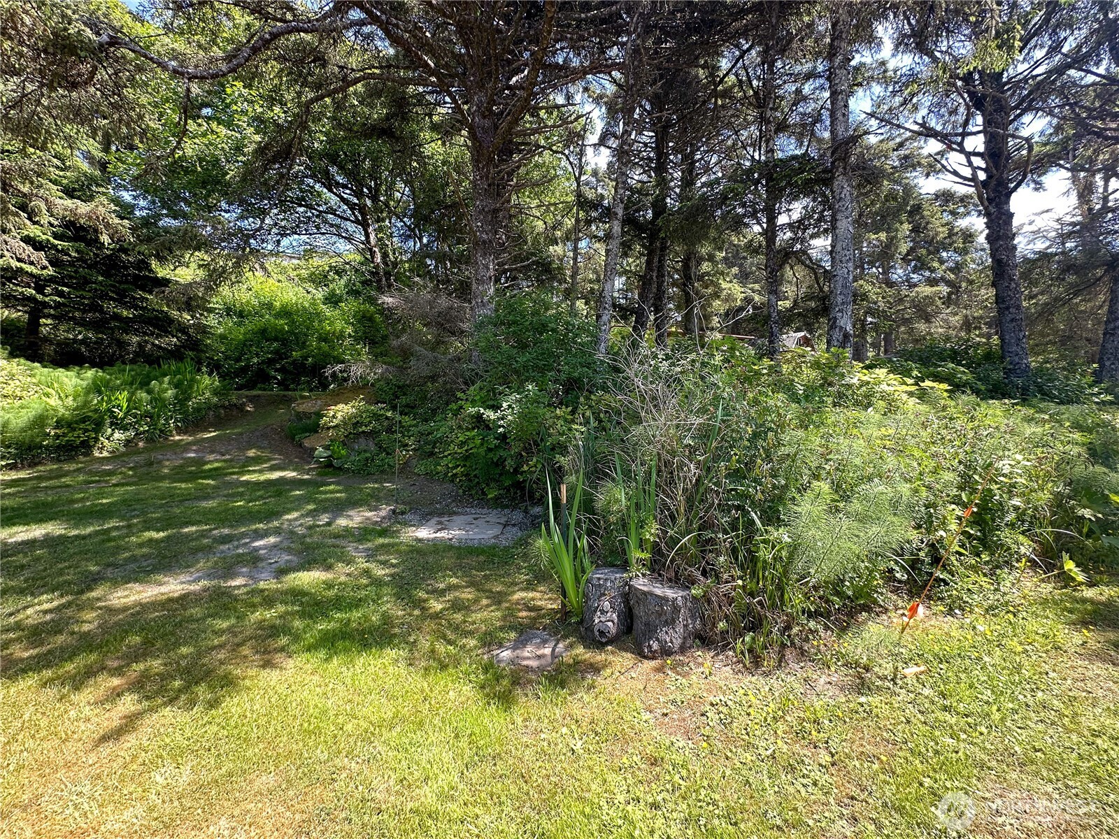 4753 Beach Lane Moclips, WA 98562 - Photo 22 of 25 a view of backyard with green space