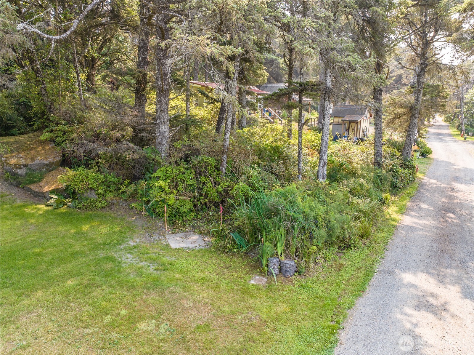 4753 Beach Lane Moclips, WA 98562 - Photo 5 of 25 a view of yard with green space