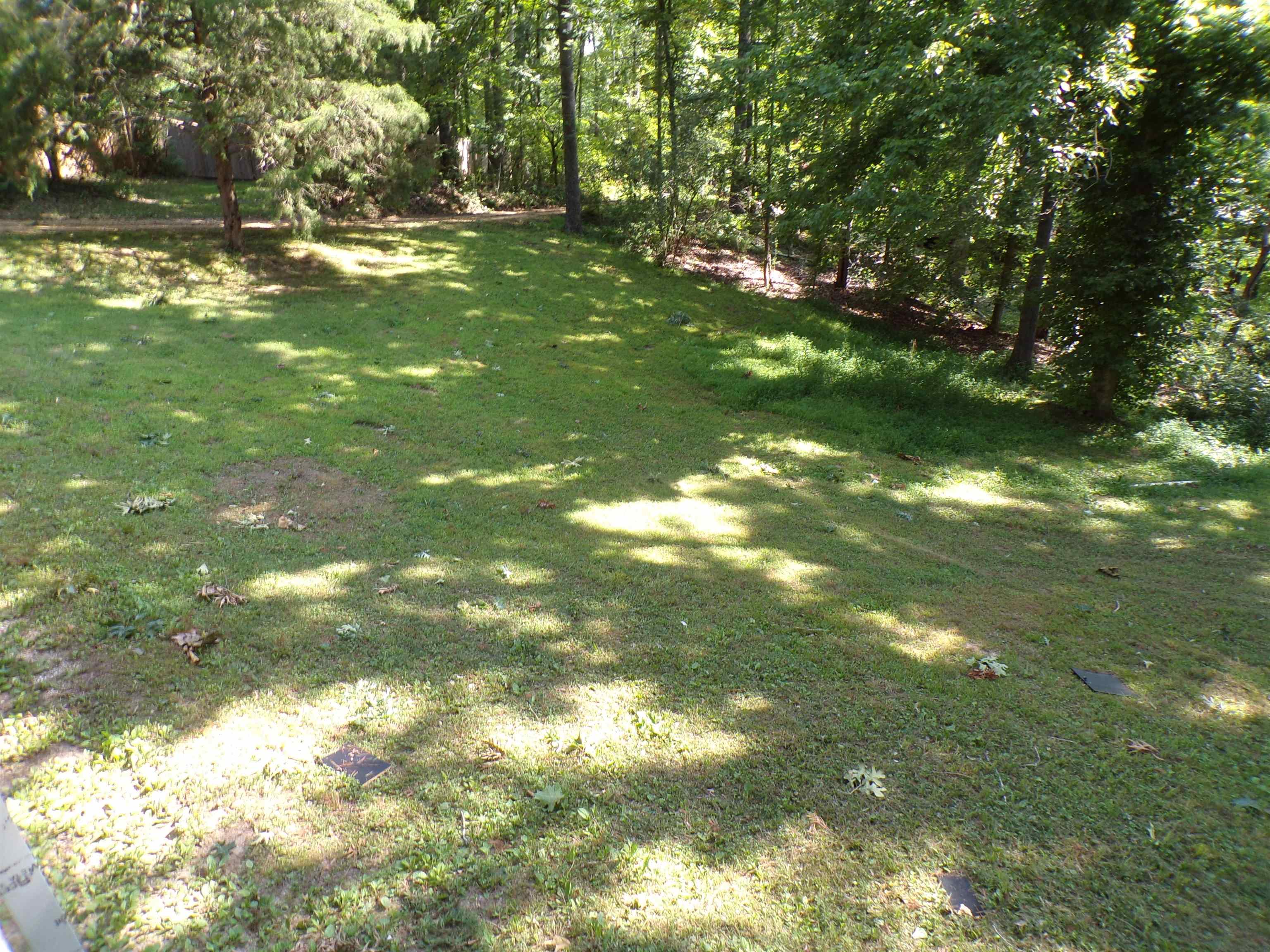 35 Cr 341 Road Iuka, MS 38852 - Photo 13 of 15 Expansive grassy area with dappled sunlight, surrounded by mature trees