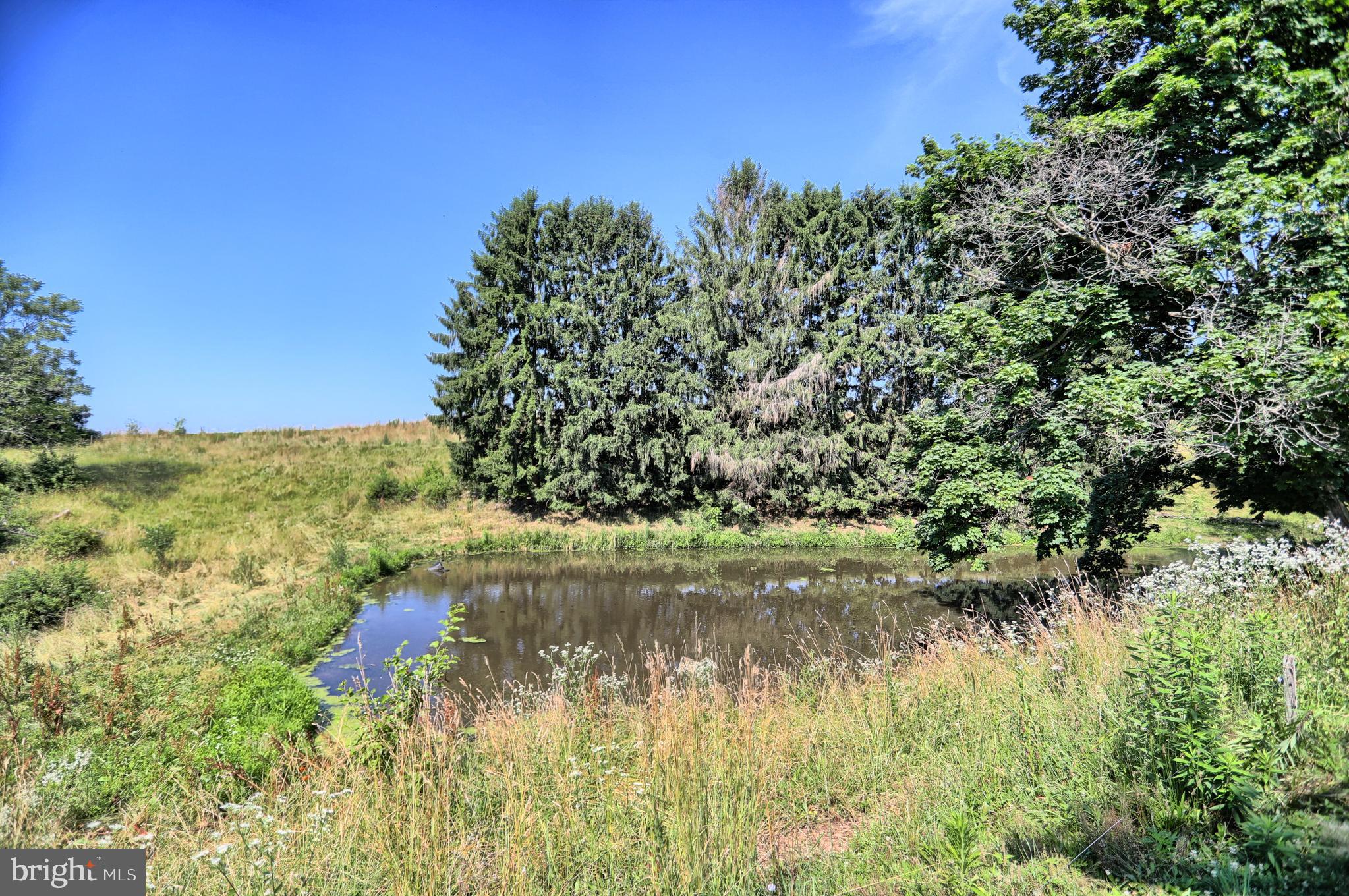 426 Reward Road Millerstown, PA 17062 - Photo 6 of 51 Gallery Image 6