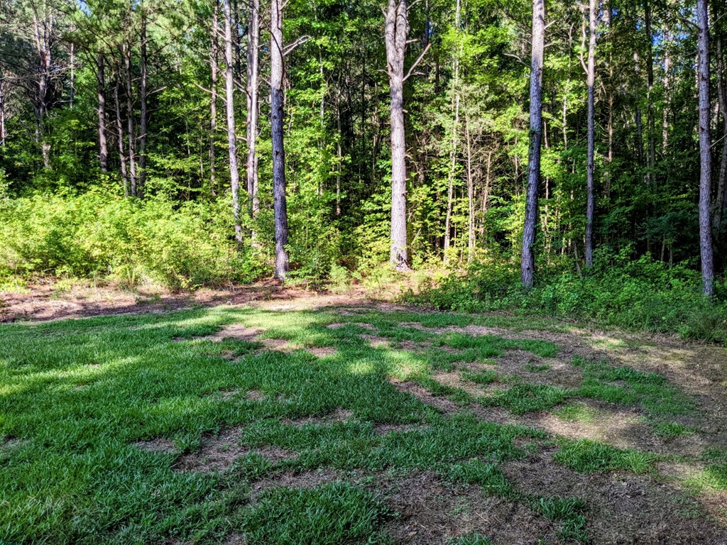 438 Brock Road Honea Path, SC 29654 - Photo 26 of 34