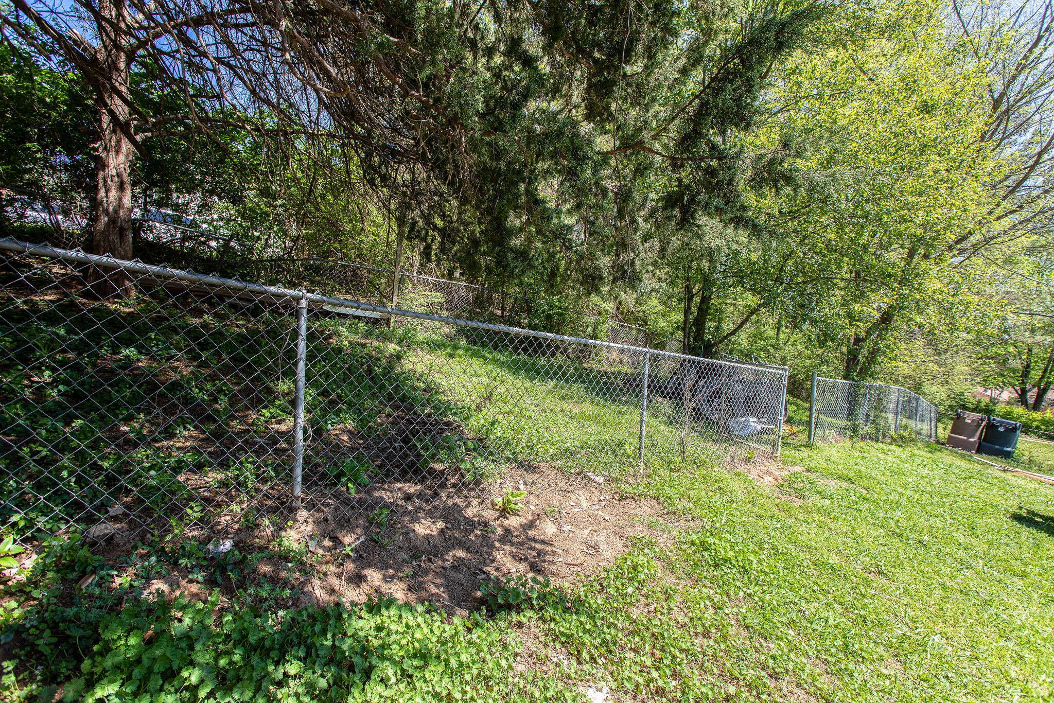 116 Tusculum Road Antioch, TN 37013 - Photo 27 of 27 a garden view