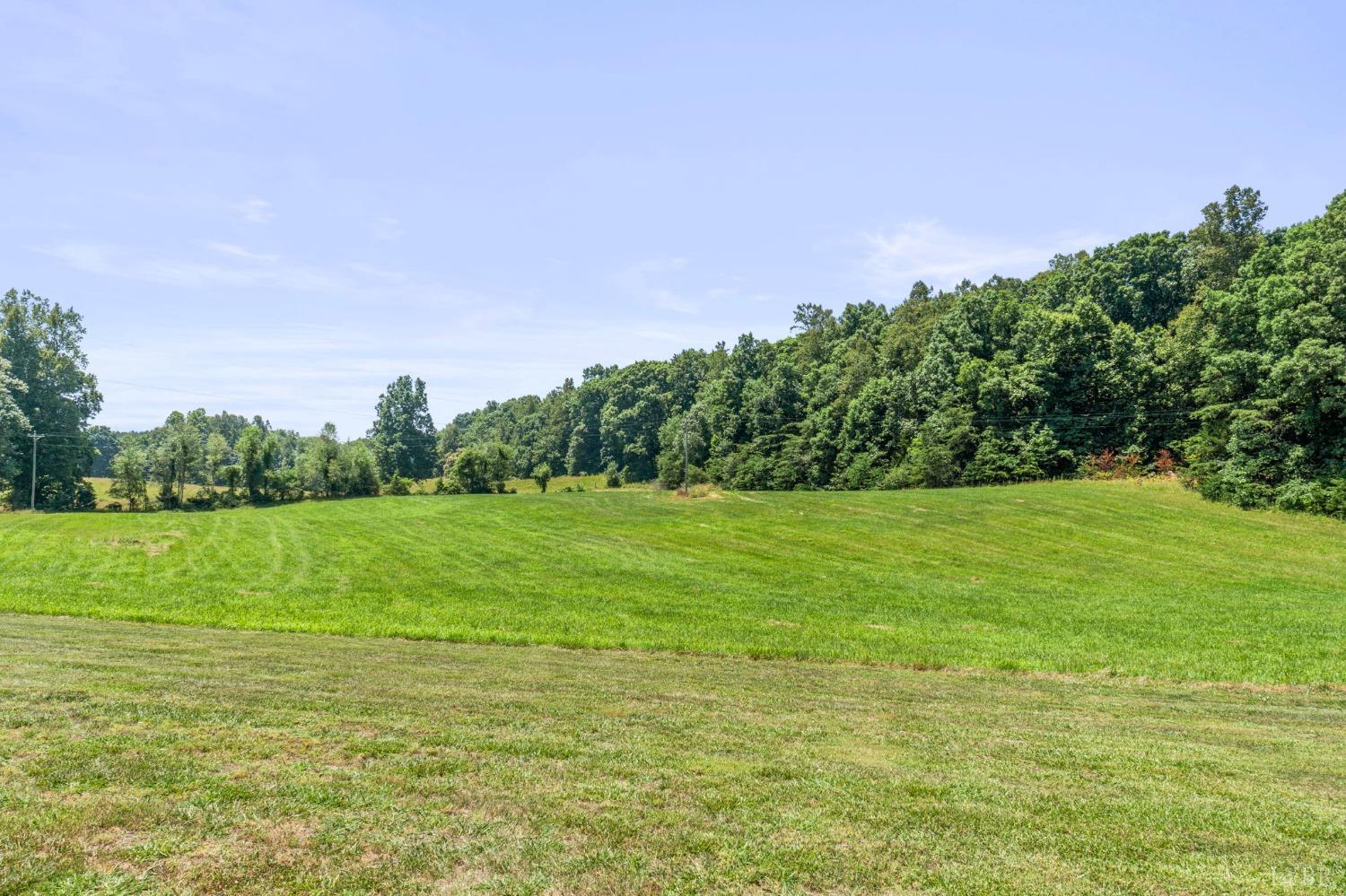 4466 Five Forks Road Pamplin, VA 23958 - Photo 15 of 34 a view of a field with grass and trees