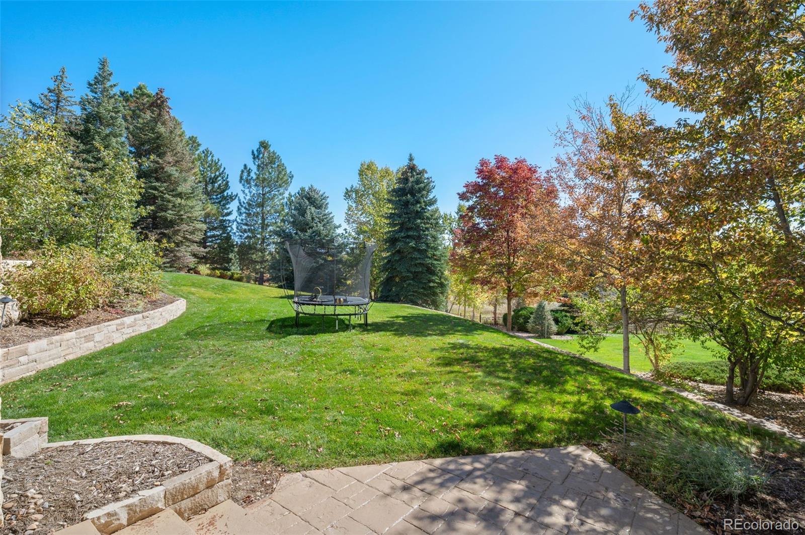 298 Fairchild Drive Highlands Ranch, CO 80126 - Photo 37 of 50 a view of a park with large trees