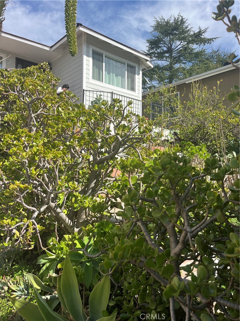 3045 Highridge Road La Crescenta, CA 91214 - Photo 1 of 1 Gallery Image 1