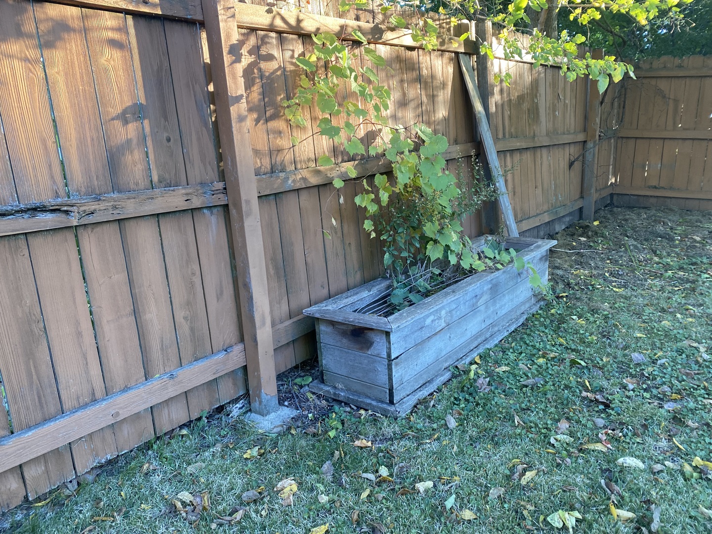 10 Briar Lane Geneva, IL 60134 - Photo 32 of 35 a wooden fence with some plants in the back