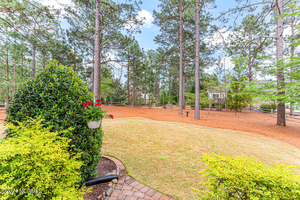157 Longleaf Drive West End, NC 27376 - Photo 24 of 58 Backyard view