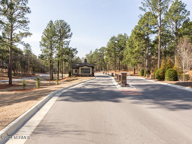 157 Longleaf Drive West End, NC 27376 - Photo 33 of 58 Gated Community