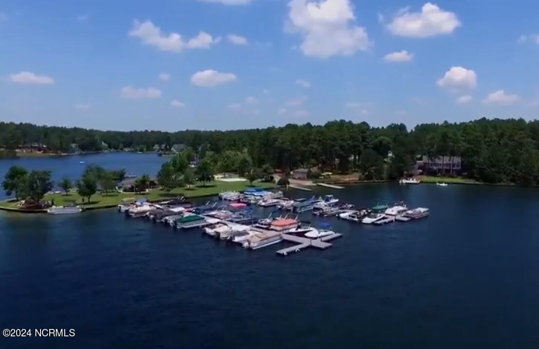 157 Longleaf Drive West End, NC 27376 - Photo 37 of 58 Johnson Point Marina