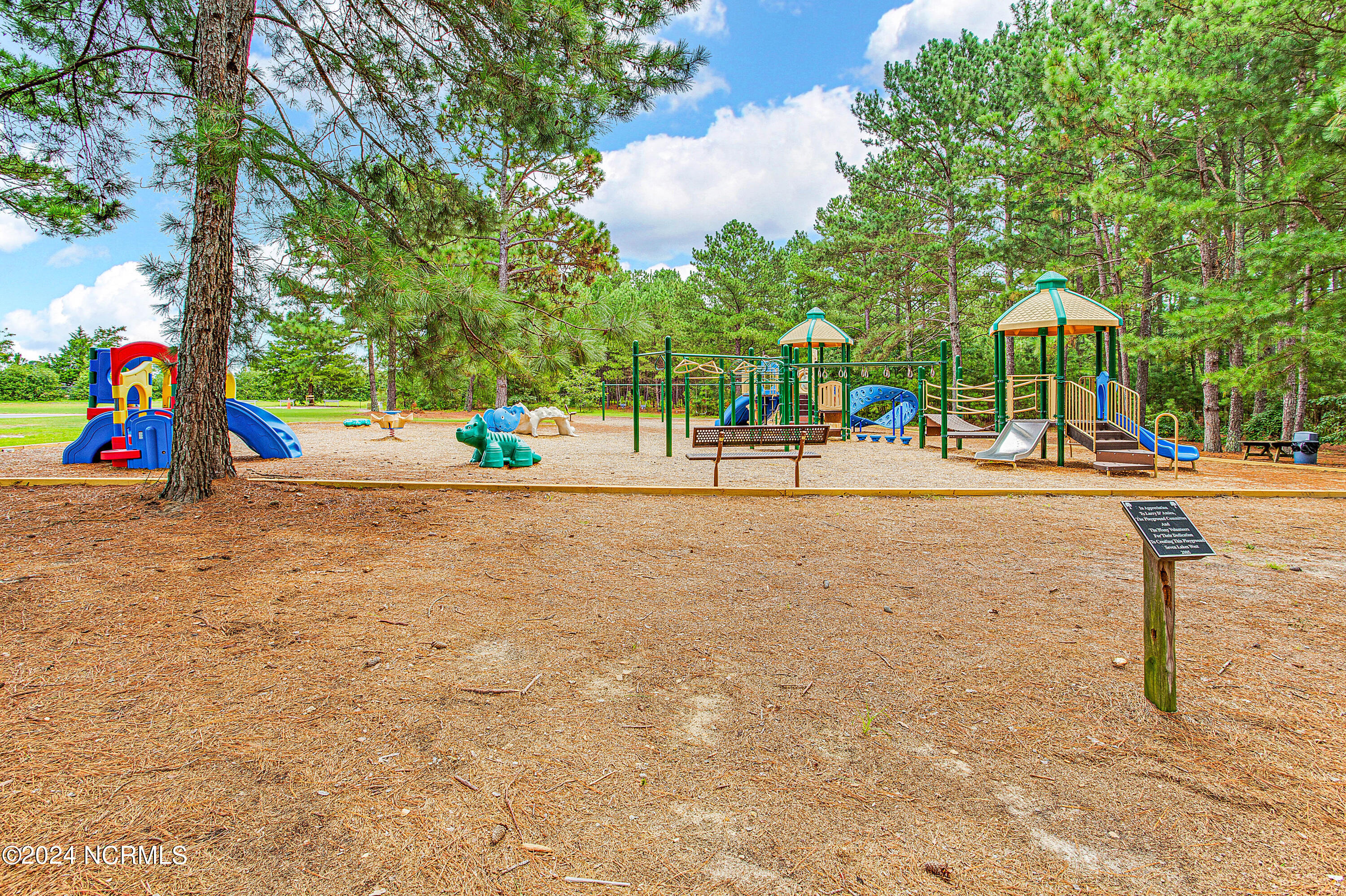 157 Longleaf Drive West End, NC 27376 - Photo 51 of 58 Seven Lakes West-playground