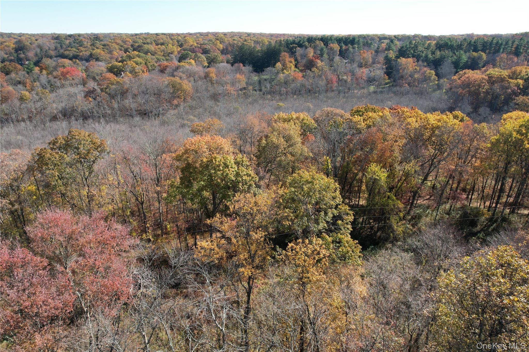 0 Scofield Road Pound Ridge, NY 10576 - Photo 3 of 5 a view of a lake with mountains in the background