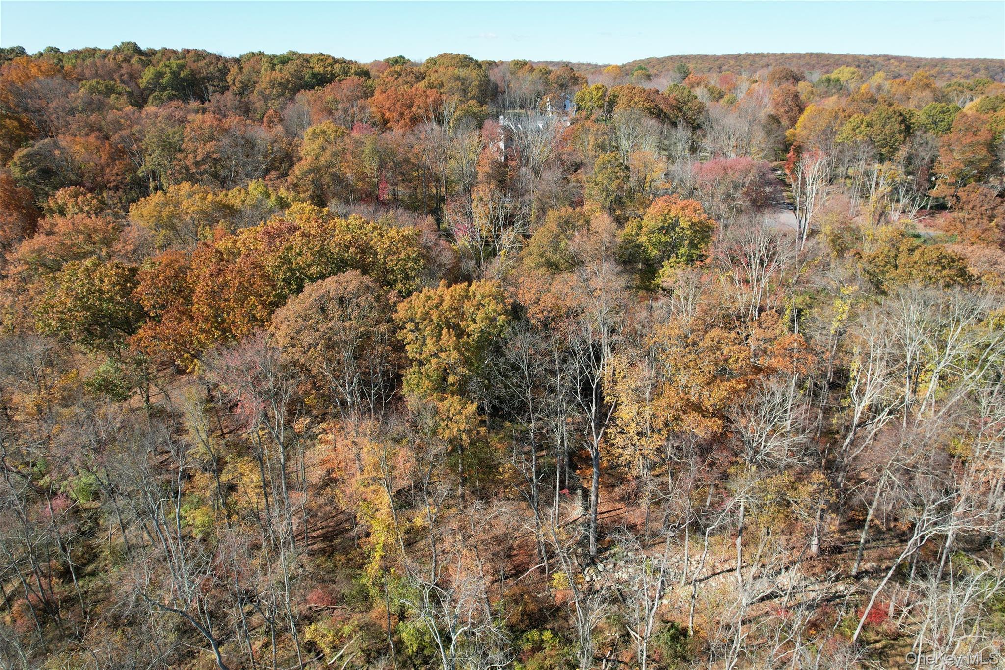 0 Scofield Road Pound Ridge, NY 10576 - Photo 5 of 5 a view of a dry yard with a large tree