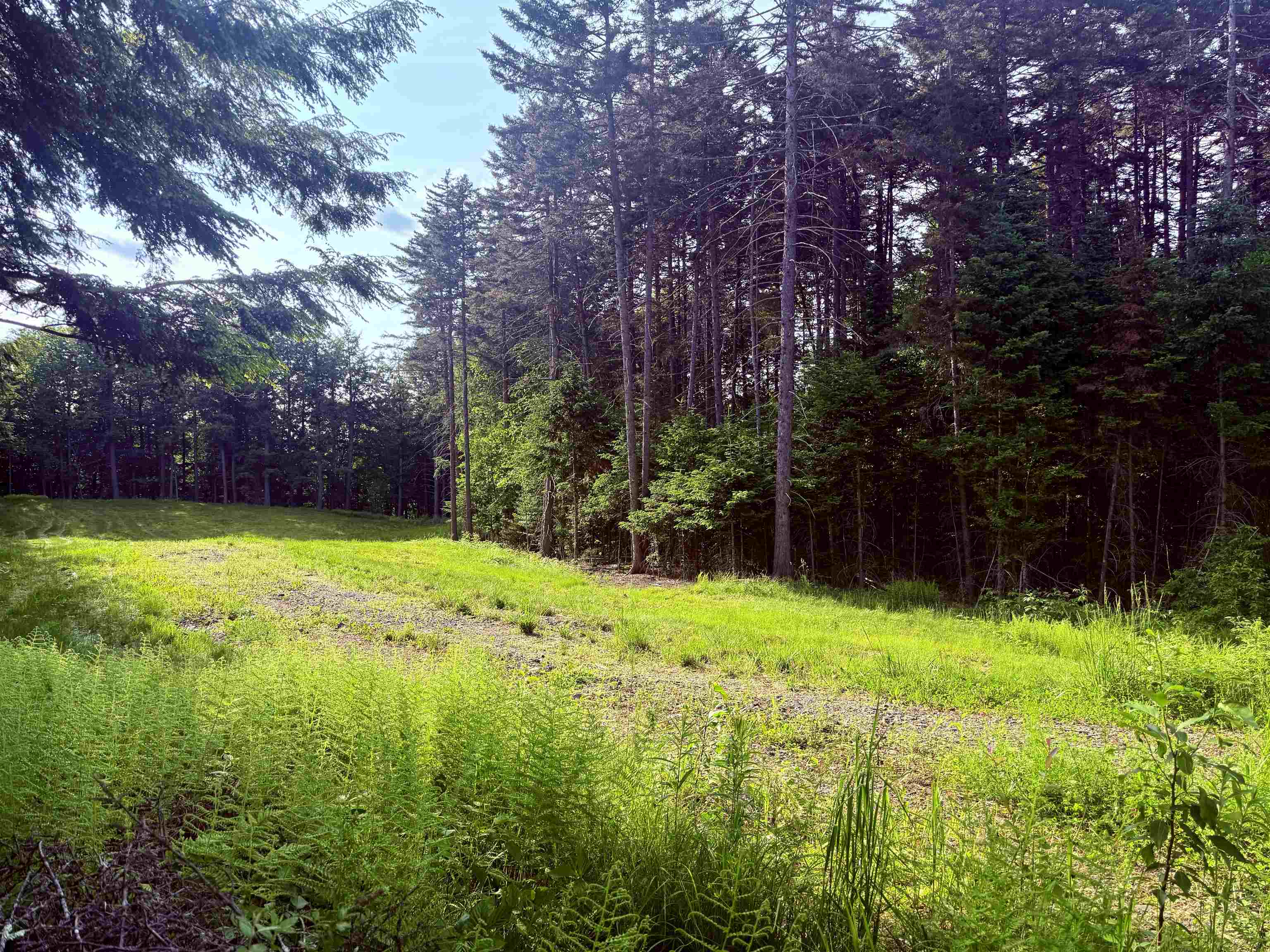 0 Guy's View Road, Unit 5 Lyndonville, VT 05851 - Photo 4 of 8