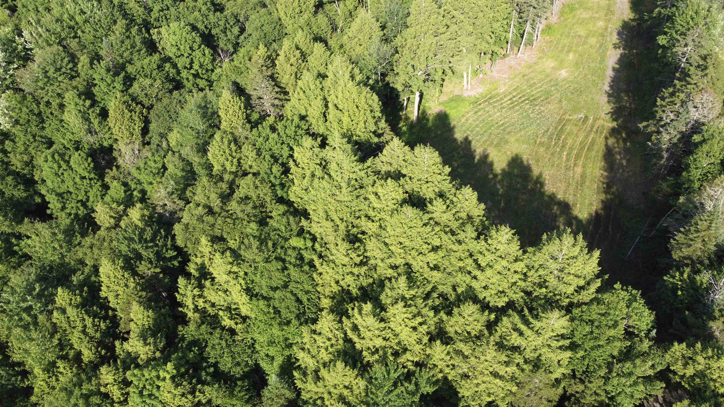 0 Guy's View Road, Unit 5 Lyndonville, VT 05851 - Photo 7 of 8